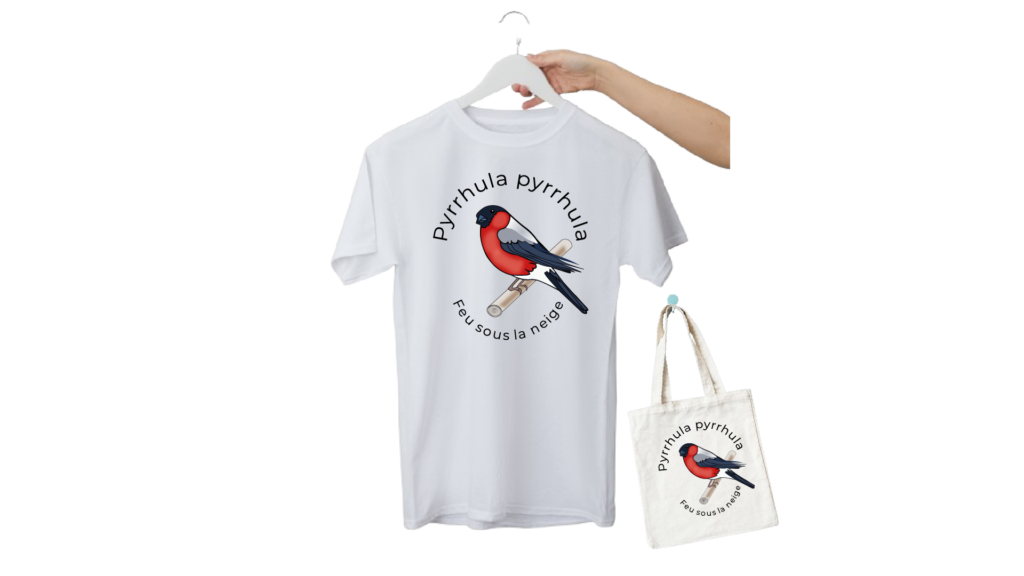 illustration tshirt bouvreuil