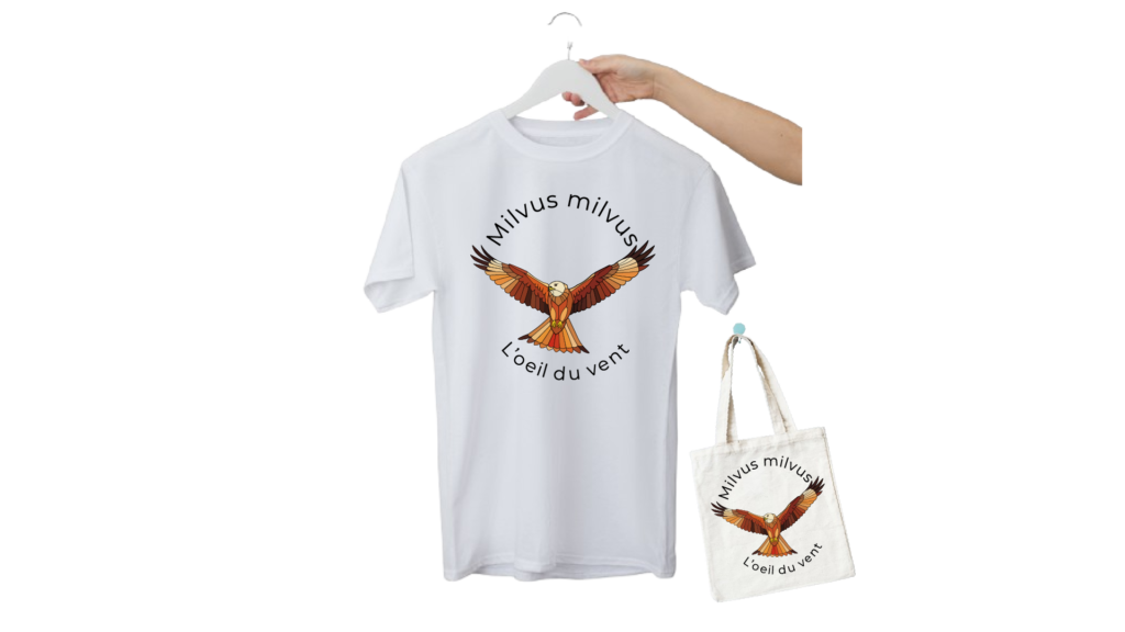 illustration tshirt milan